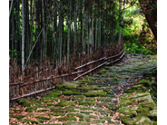 龍門司坂③